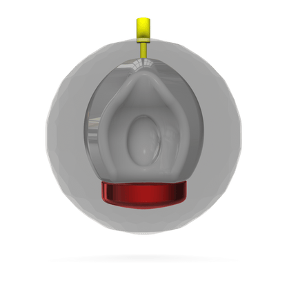 Alpha Crux