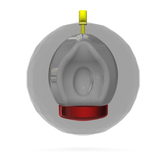 Alpha Crux